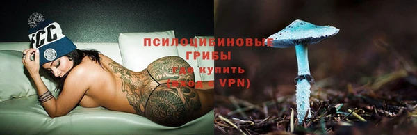 ПСИЛОЦИБИНОВЫЕ ГРИБЫ Алексин
