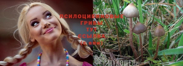 скорость Алексеевка