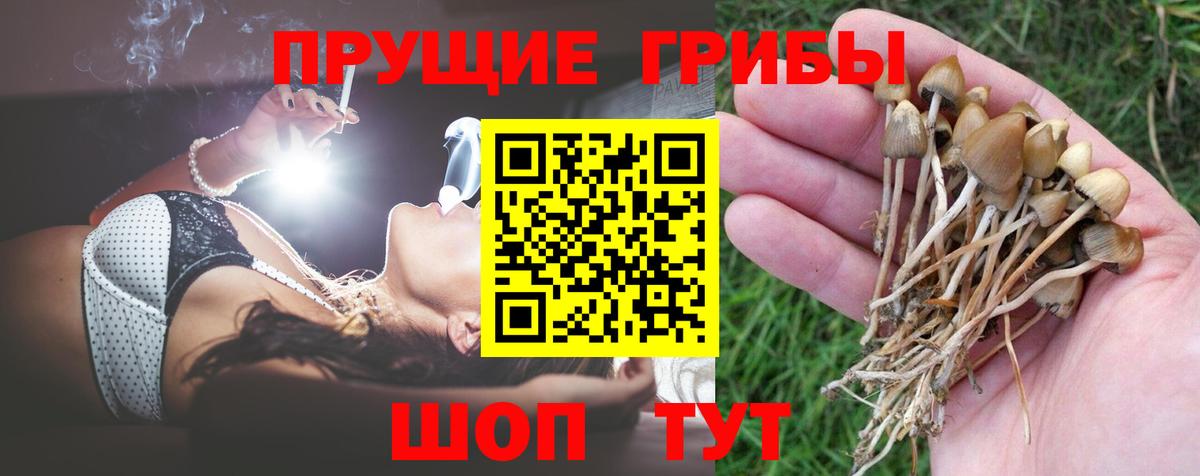 Братск  что такое наркотик  Вход с VPN  Галлюциногенные грибы ЛСД  Псилоцибиновые грибы ЛСД 